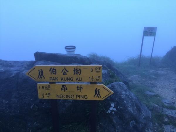 属兔农历十二月二十二是什么星座游戏画面