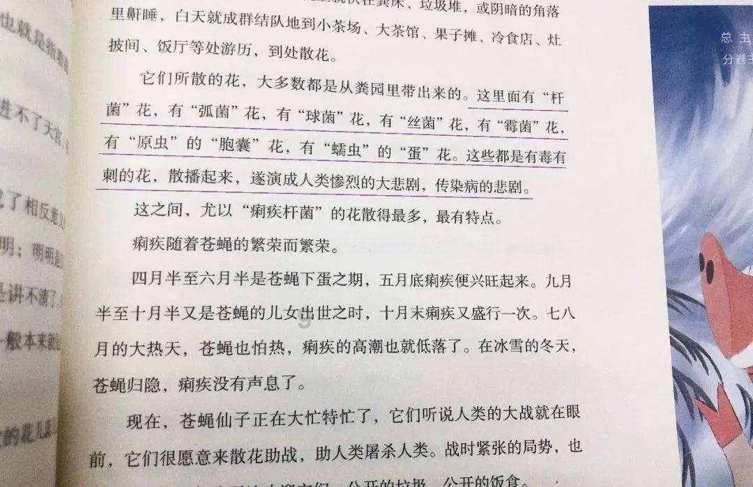 电鳗-缤瑞：家轿界的亮点