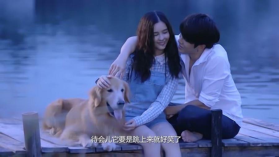 大白猫逃脱