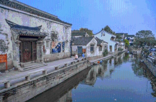 动物帮帮忙保卫家园